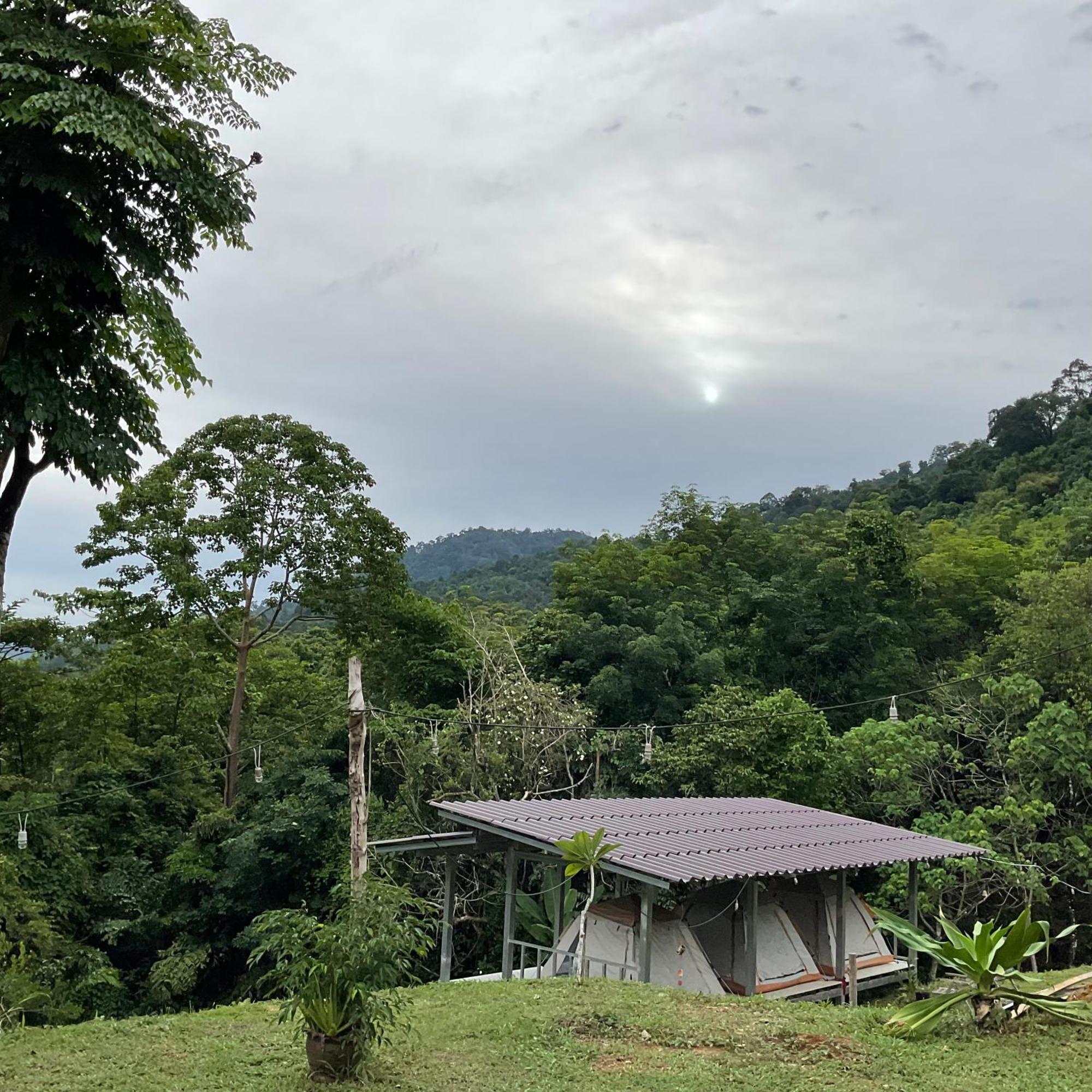 Khao Sok Hill Top Resort Khao Sok National Park Esterno foto