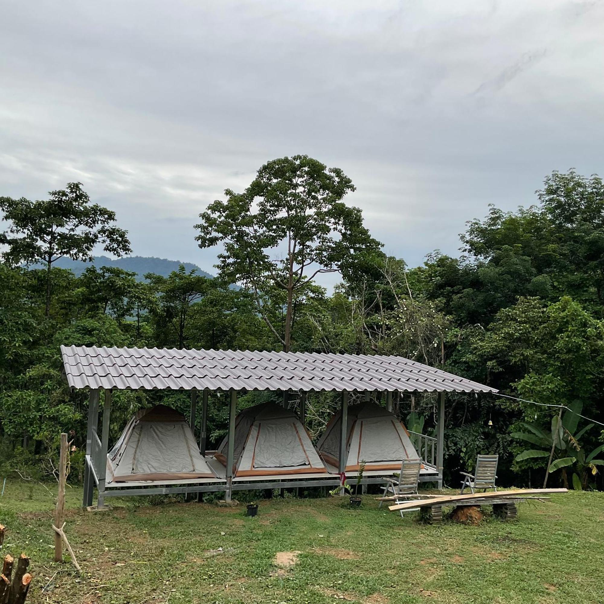 Khao Sok Hill Top Resort Khao Sok National Park Esterno foto