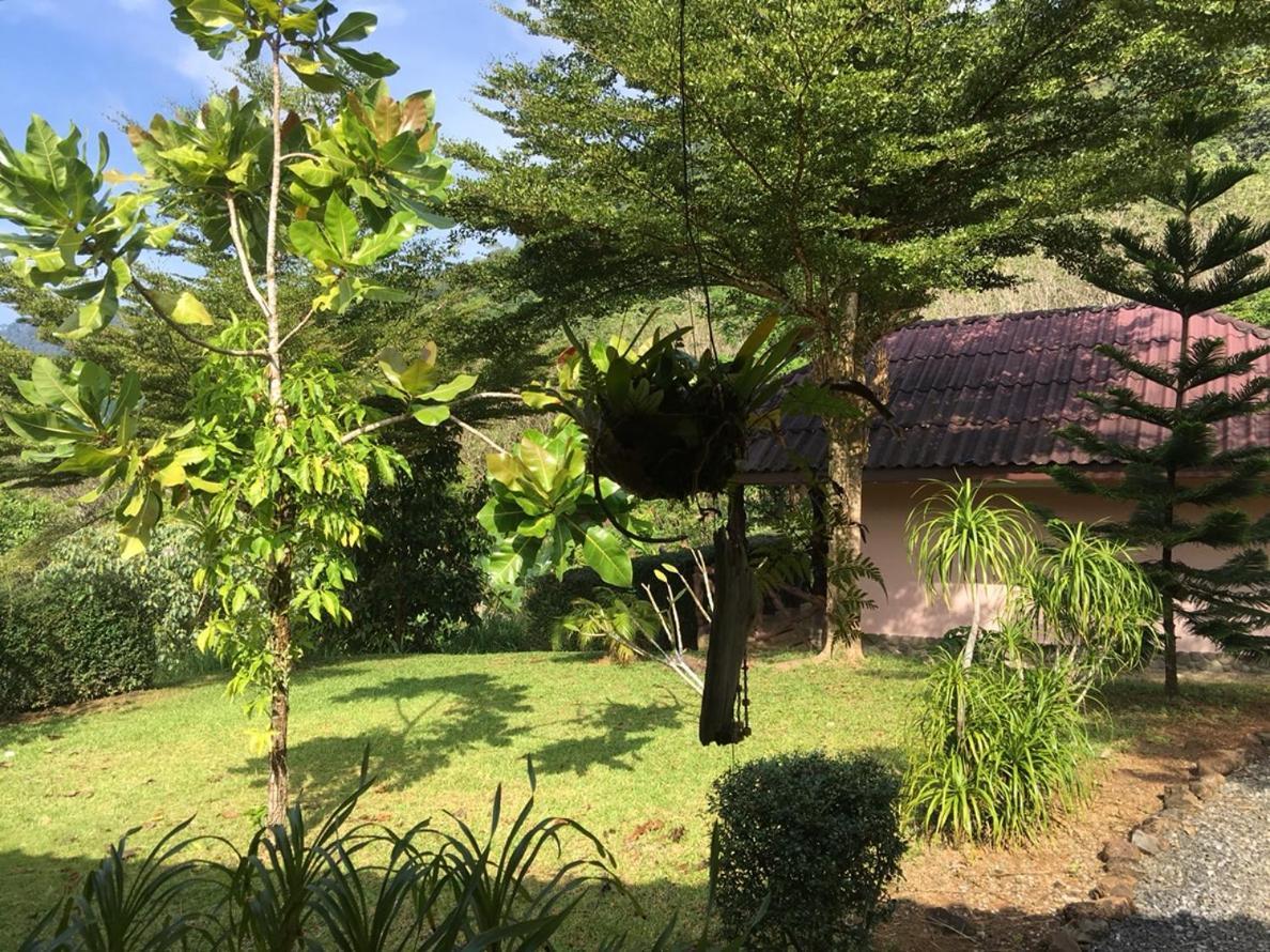 Khao Sok Hill Top Resort Khao Sok National Park Esterno foto