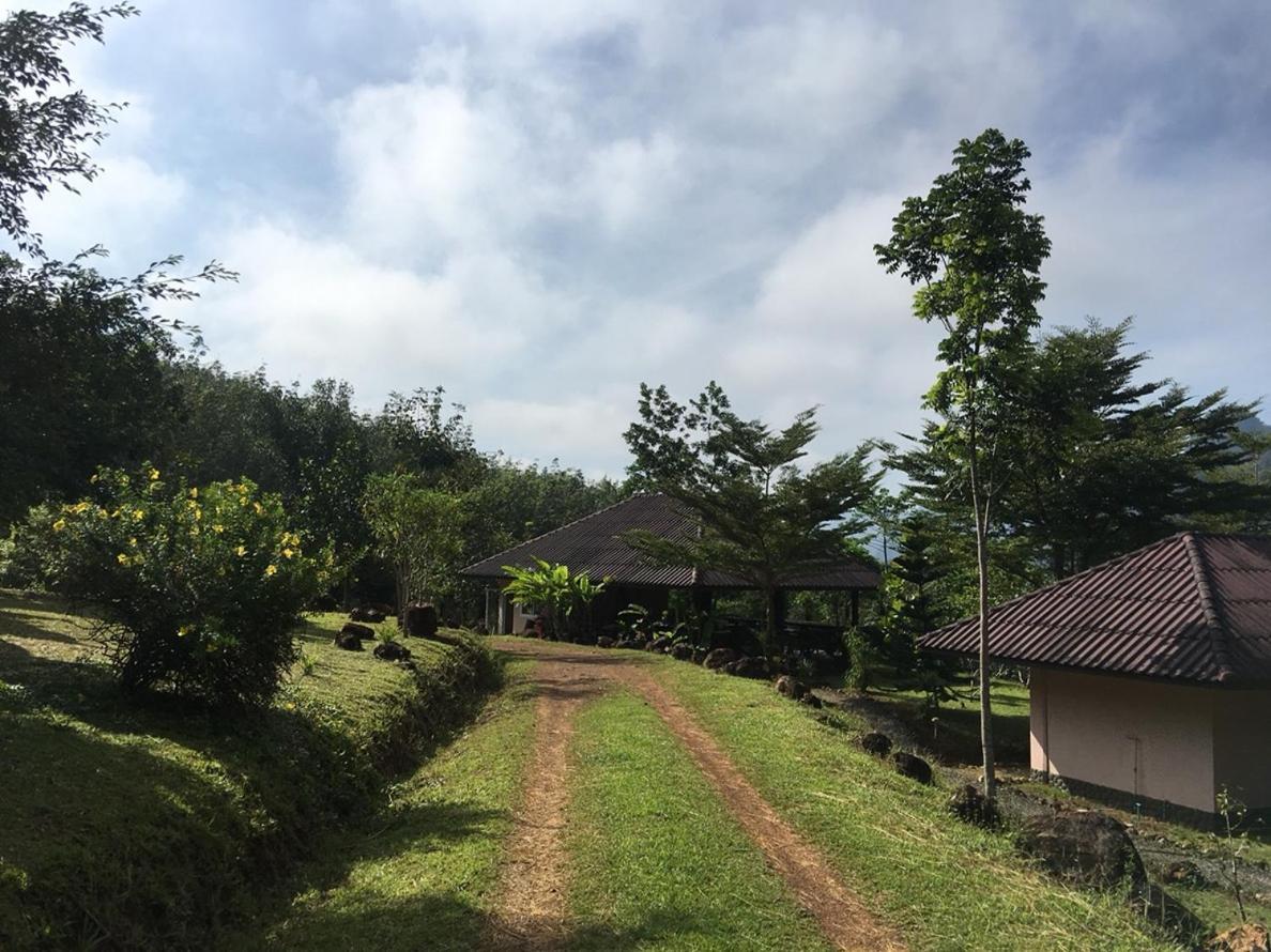 Khao Sok Hill Top Resort Khao Sok National Park Esterno foto