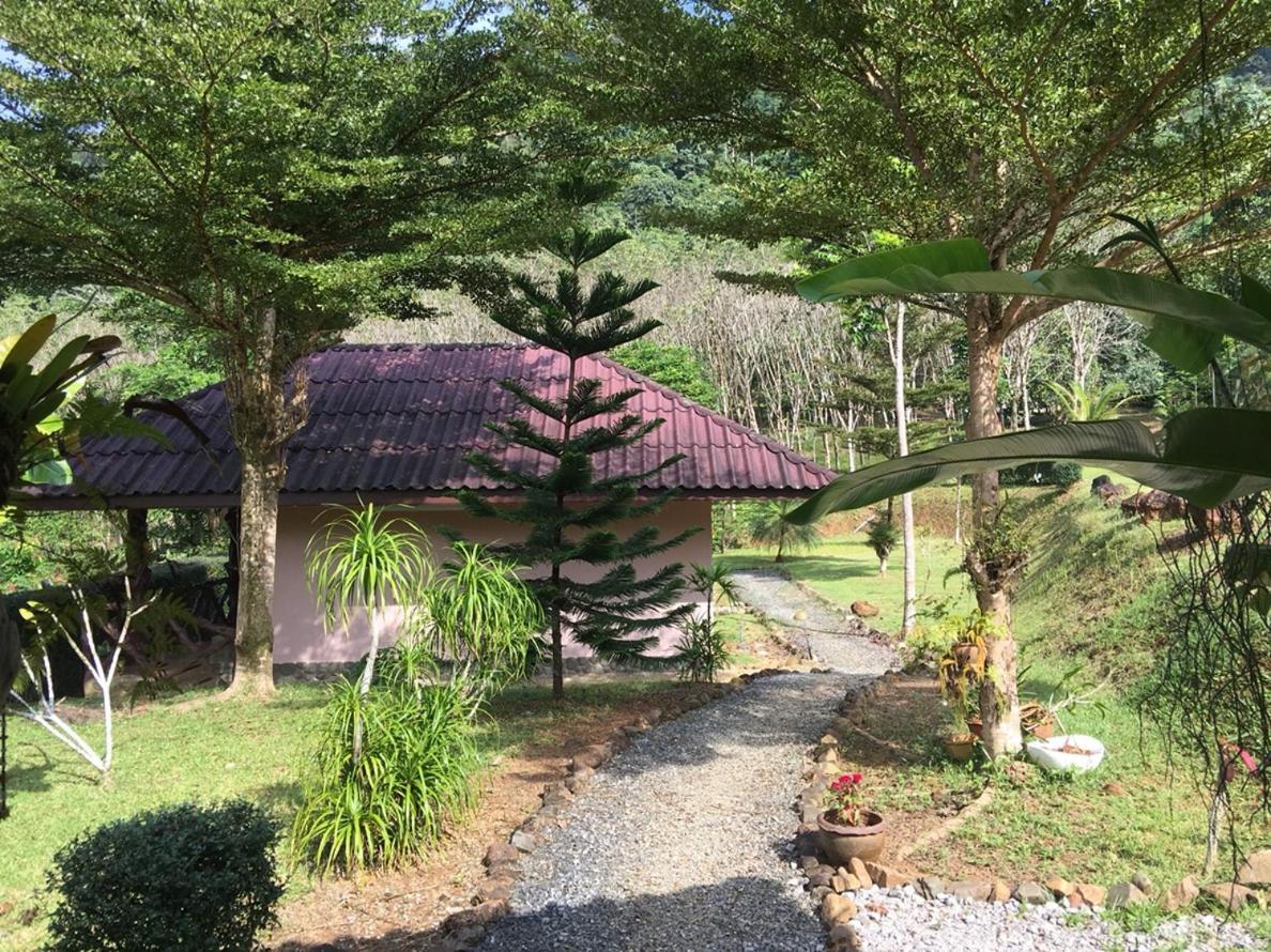 Khao Sok Hill Top Resort Khao Sok National Park Esterno foto