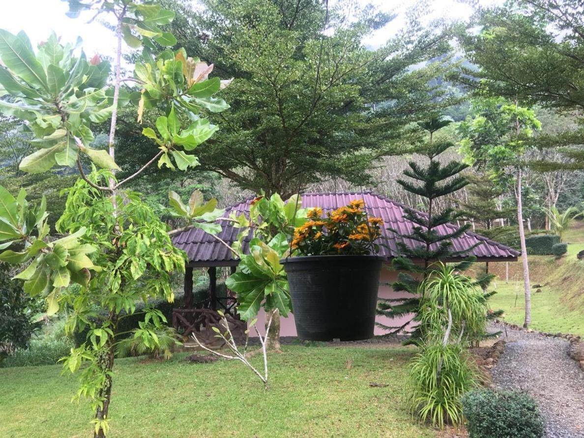 Khao Sok Hill Top Resort Khao Sok National Park Esterno foto