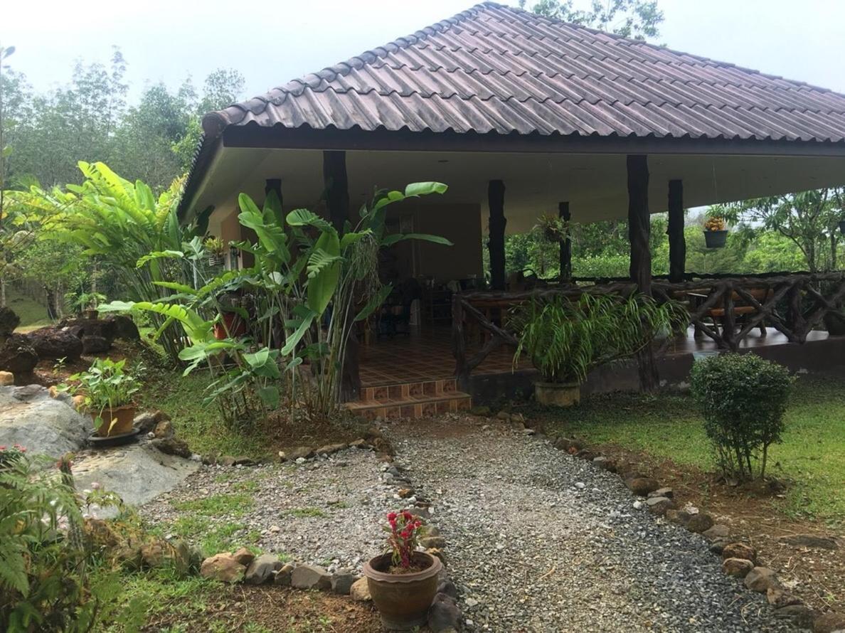 Khao Sok Hill Top Resort Khao Sok National Park Esterno foto